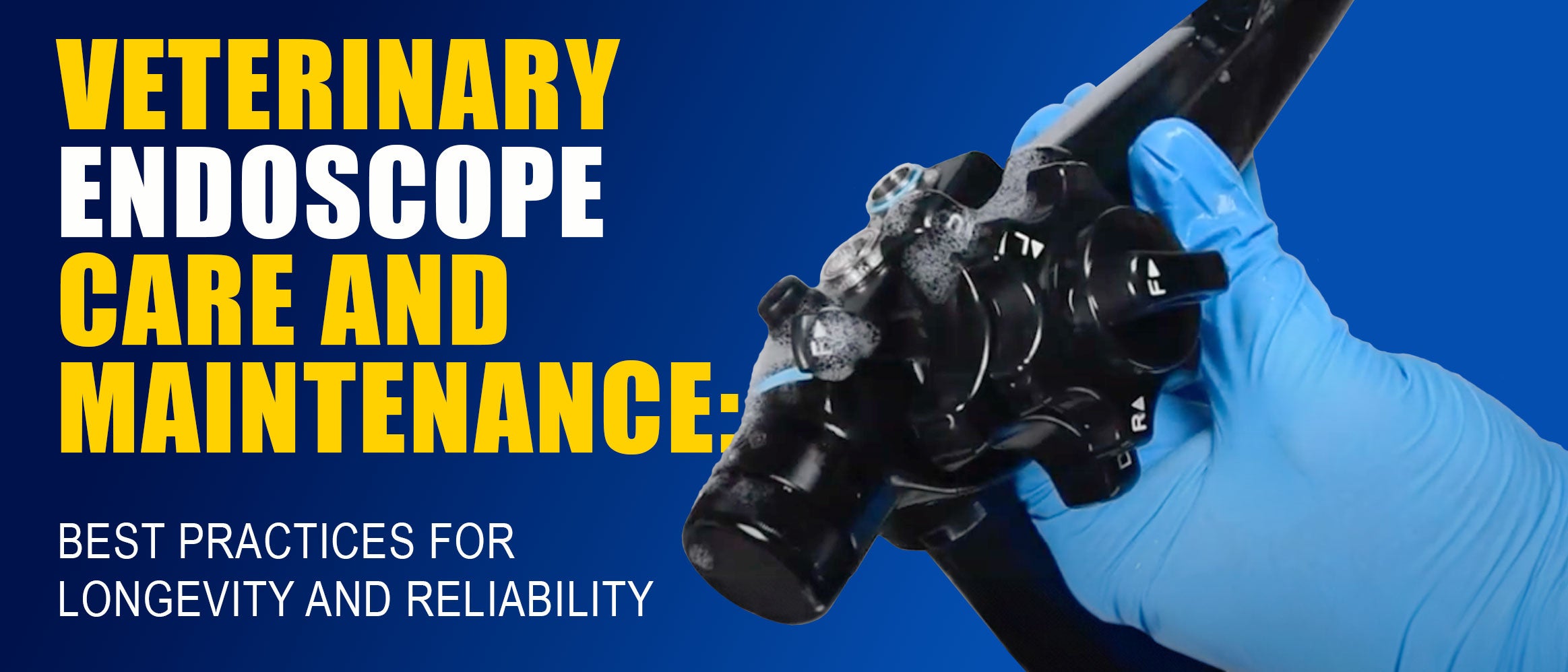 HD Endoscope being washed with the text VETERINARY ENDOSCOPE CARE AND MAINTENANCE: BEST PRACTICES FOR LONGEVITY AND RELIABILITY